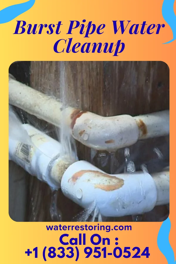 Burst Pipe Water Cleanup in McBride, MI