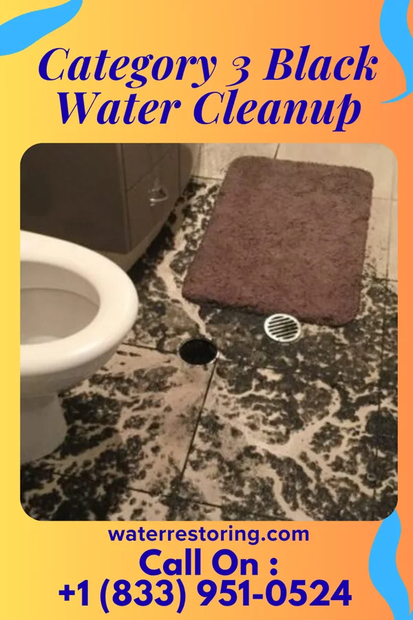 Category 3 Black Water Cleanup in McBride, MI