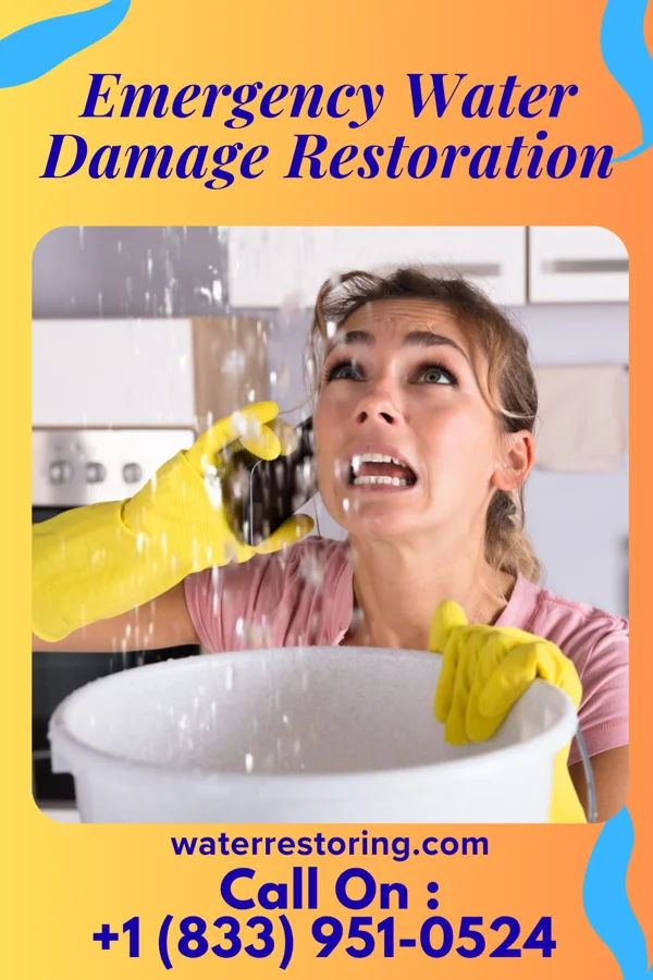 Emergency Water Damage Restoration in McBride, MI