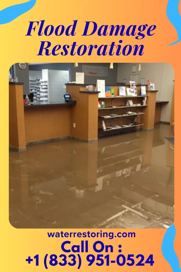 Flood Damage Restoration in McBride, MI