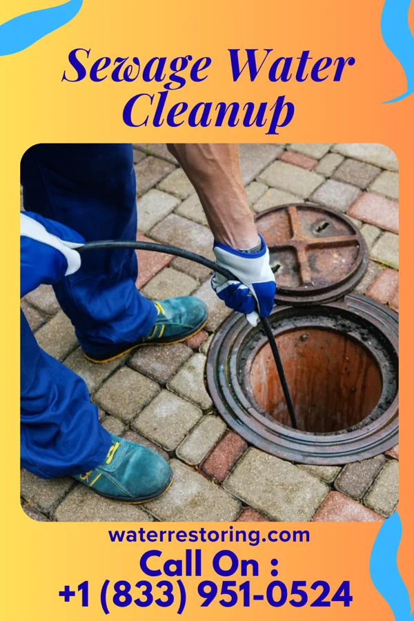 Sewage Water Cleanup in McBride, MI