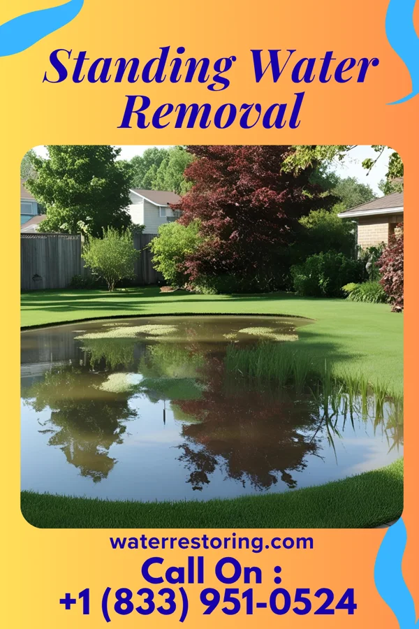 Standing Water Removal in McBride, MI